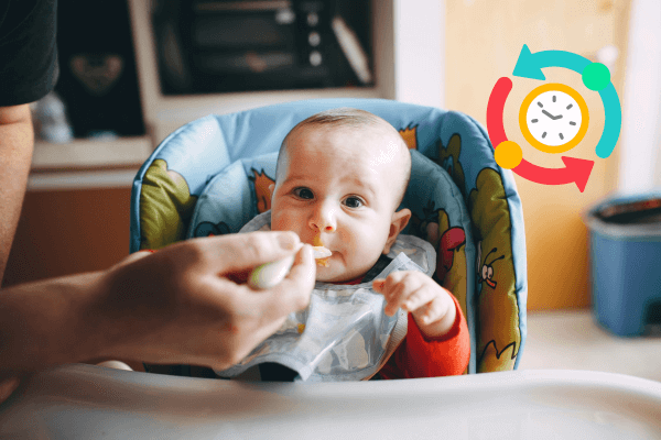 rotina alimentar bebê 1 ano horários​